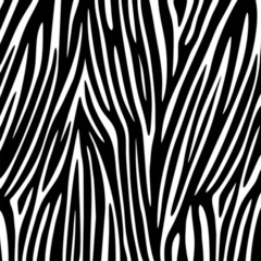 Zebra Texture Vector