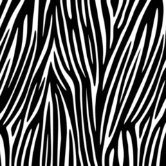 Peel and stick wall murals Draw Zebra Texture Vector