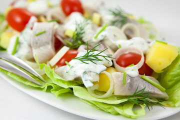 Herring salad with yogurt sauce