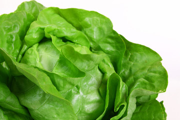 grüner kopfsalat,hintergrund