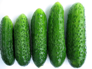 cucumber