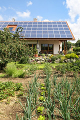 One family house with garden