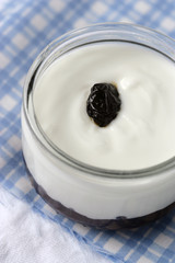 Yaourt Raisin