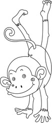 A Dancing Monkey