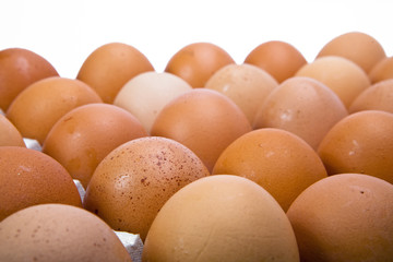 Eggs on white background