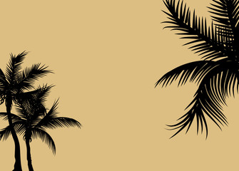 palm tree