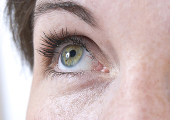 Fototapeta premium Beautiful female eye