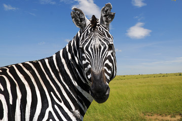 Parco Nazionale Chobe