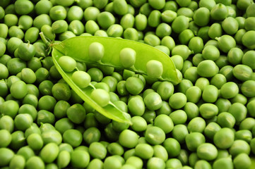 Fototapeta na wymiar green peas