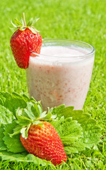strawberry milkshake - in the garden grass