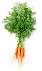 fresh carrot fruits with green leaves