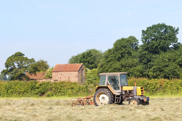 hay turning in summer