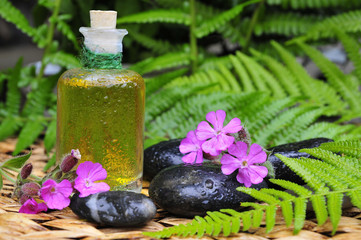 Wellness Spa Öl