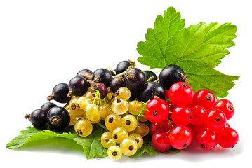 Currants isolated