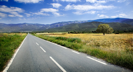 carretera y paisaje