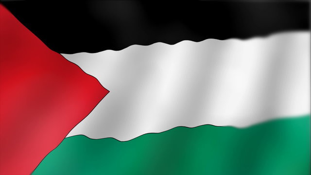 Palestine - waving flag detail
