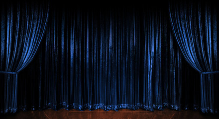 Blue Sparkling Curtains