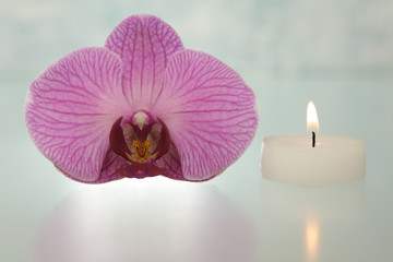 Orchideenblüte mit Kerze