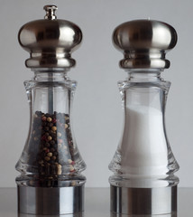 Obraz na płótnie Canvas Salt and Pepper Shakers