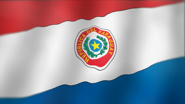 Paraguay - waving flag detail
