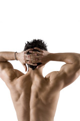 Muscoli scolpiti