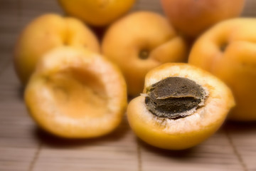 Apricot