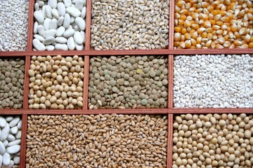 Getreide und Hülsenfrüchte
