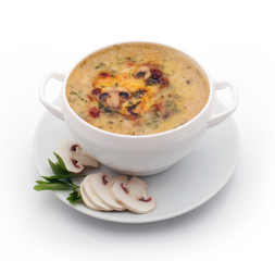 soup of mushrooms