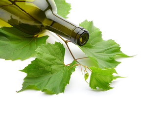wine bottle and green grape vine