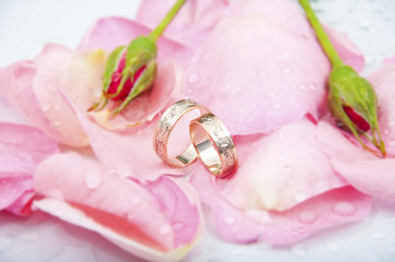 Rose and wedding rings with drops of watter