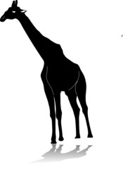 giraffe silhouette vector