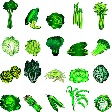 Green Veggies