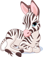 Fototapeta na wymiar Cute Zebra Foal