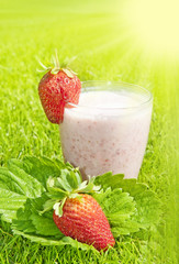 strawberry milkshake - in the  grass