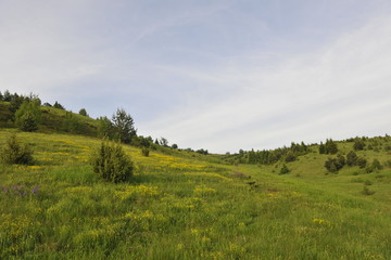 Obraz premium nature