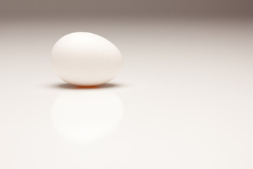 White Egg on Gradated Background
