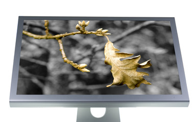 lcd monitor flat screen