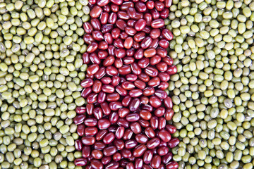 Lines of Dried Beans