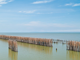 Fence bamboo row