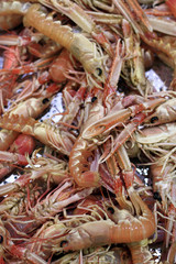 langoustines en vrac