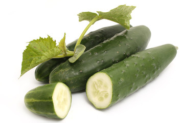cucumbers