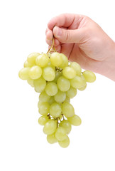 bunch of a green grapes in hand