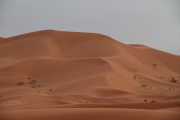 Fototapeta na wymiar Sanddünen im Erg Chebbi, Sahara - Marokko