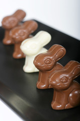 Pâques-P'tit Lapins