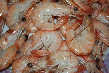 Langostinos, marisco