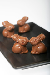 Pâques-P'tits Lapins