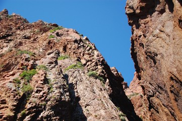 scandola