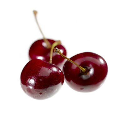 sweet juicy cherry over white background