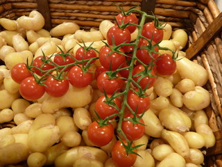 tomates grappes et ratte