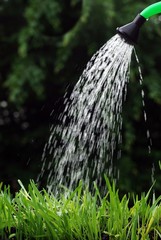 watering can © Witold Krasowski